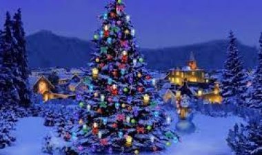 أصل شجرة عيد الميلاد.. قصة تحول الرمز من عبادة وثنية إلى احتفال ديني