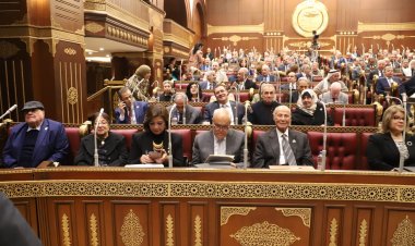 مناقشات لجنة الزراعة والري في مجلس الشيوخ لتوسيع زراعة الأشجار ذات النمو السريع وتشجيع المستثمرين