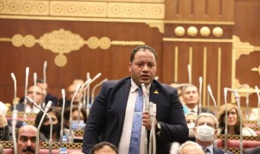 برلماني بالشيوخ: مصر بقيادة الرئيس السيسي نجحت في جذب الاستثمارات الأجنبية في المنطقة الاقتصادية لقناة السويس