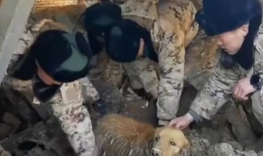 الصين تنقذ كلب من تحت الأنقاض بعد الزلزال المدمر