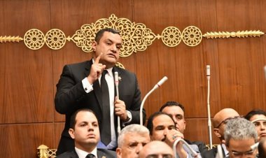 النائب أكمل نجاتي يثمن جهود النائب طارق نصير حول سياسة الحكومة في المناطق الصناعية بقناة السويس