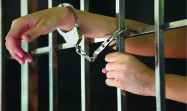 أثار الذعر.. أجنبي يسير عاريًا في شوارع المنصورة ويُهذي بكمات غير مفهومة