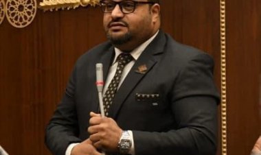 "برلماني": المنطقة الاقتصادية لقناة السويس تسهم في وجود مركز للمجمعات الصناعية