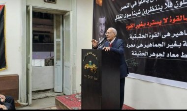 رئيس الحزب العربي الديمقراطي الناصري: نحن مع كل أشكال المقاومة في فلسطين