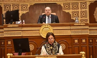 برلمانية تستعرض سياسة الحكومة في مصر لحل تحديات ومشاكل الثروة السمكية