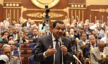 برلماني: ملف الثروة السمكية مليء بالتحديات وفرص الاستثمار ويجب إعادة تقييم الأرقام