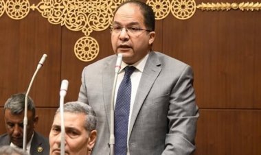 برلماني يشيد بجهود الحكومة في تحسين البيئة البحرية وتعزيز أسطول الصيد المصري