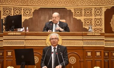 رئيس جهاز الثروة السمكية لـ مجلس الشيوخ: «يجب إعادة النظر في الإنتاج والصيد لتلبية الاحتياجات»