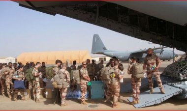 النيجر تعلق التعاون مع منظمة الدول الناطقة بالفرنسية