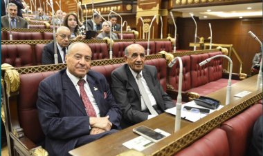 النائب مصطفى قدري الشريف: وزير التعليم العالي وعد بفرش «مستشفى الأطفال» بالكوامل