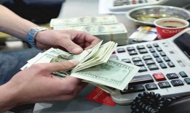 «المركزي» يلغي تراخيص عمل 7 شركات صرافة