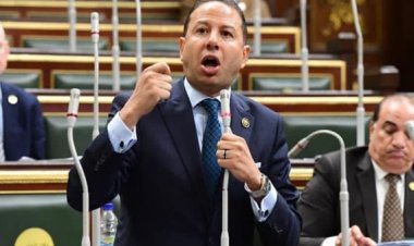 برلماني: تنفيذ استراتيجية مشروعات الهيدروجين الأخضر جعل مصر رائدة في هذا المجال