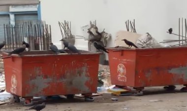 طفلة تفقد حياتها في اليمن بسبب حاوية نفايات