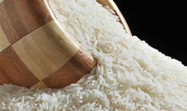 نقيب الفلاحين: سعر كيلو الأرز سينخفض يناير المقبل