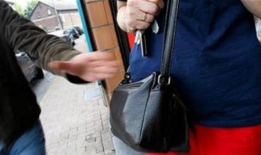 كشف ملابسات قيام لص بسرقة حقيبة يد سيدة في رأس البر
