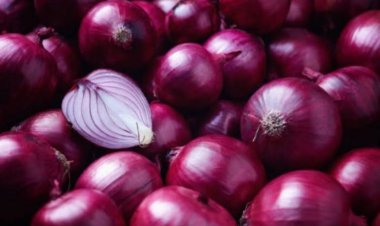 أسعار البصل الأحمر الجديد اليوم