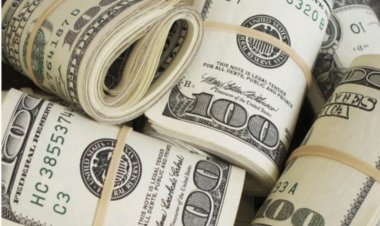 سعر الدولار اليوم في مصر تحديث يومي