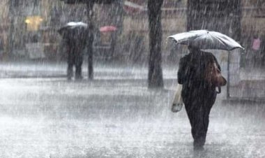 العاصمة تقدم نصائح لسائقي السيارات خلال الأمطار