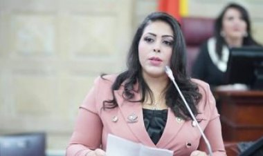 وكيل اتصالات النواب: تعيين رشا عبدالعال في "الضرائب" إنجاز جديد للمرأة