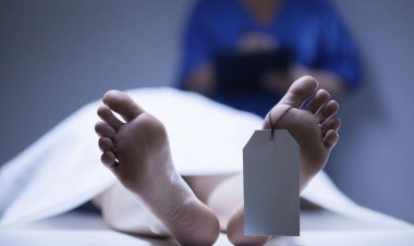 عامل يقتل عاطل فى مشاجرة بينهما بدمياط