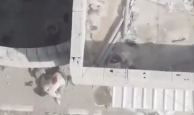 "سجد لله".. لحظة استشهاد مقاوم فلسطينى فى خان يونس بقذيفة إسرائيلية