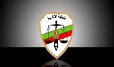 سحب وتقديم ملفات المتقدمين لوظيفة معاون نيابة إدارية  لخريجي جامعة الإسكندرية.. غدًا