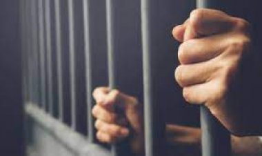 «الأموال العامة» تحيل قضية فساد كبرى بوزارة المالية لـ«الجنايات» 