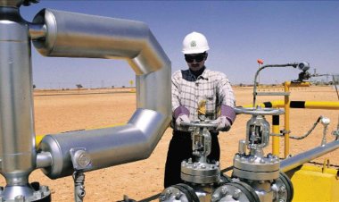 الترخيص بالتعاقد مع «العامة للبترول» لأغراض البحث في خليج السويس