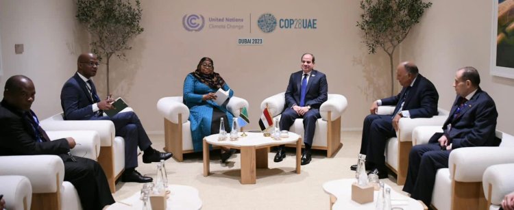 الرئيس عبد الفتاح السيسي يلتقي بالسيدة سامية حسن رئيسة دولة تانزانيا