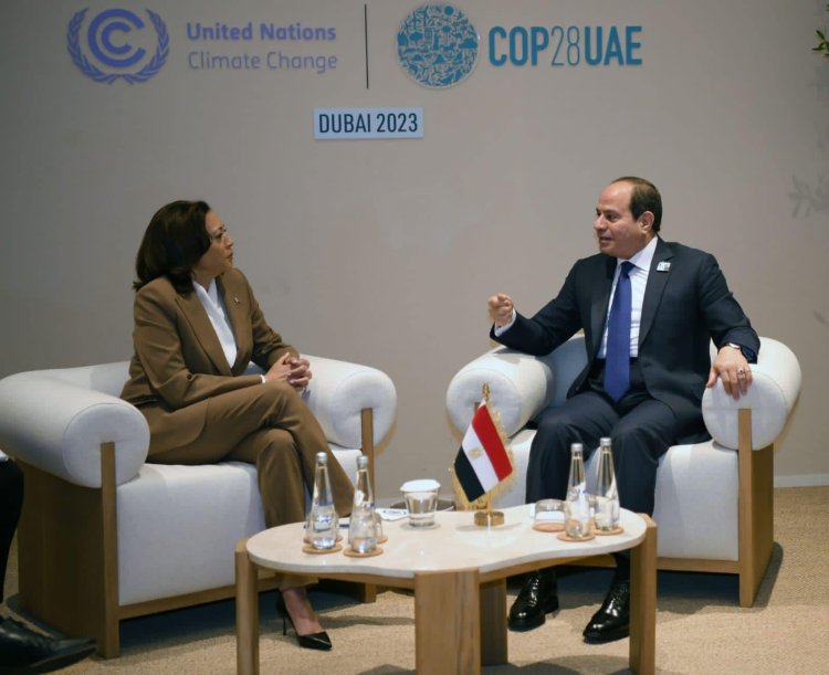 الرئيس السيسي يلتقي نائبة الرئيس الأمريكي.. وتوافق حول خطورة الأوضاع بغزة
