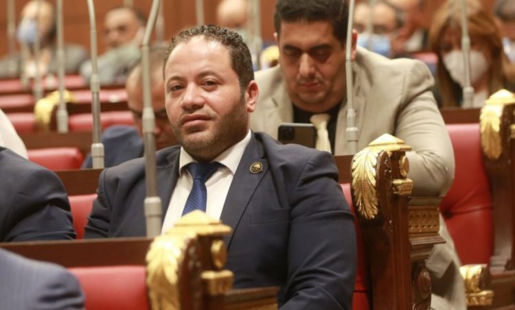 منها إحلال السلام.. "برلماني" يوضح أهداف مبادرة شباب من أجل إحياء الإنسانية