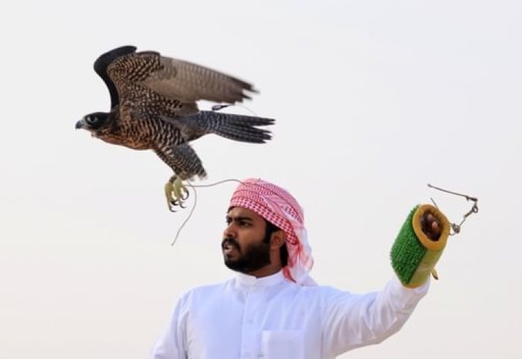 الخميس.. انطلاق منافسات بطولة «الهدد» للصيد بالصقور