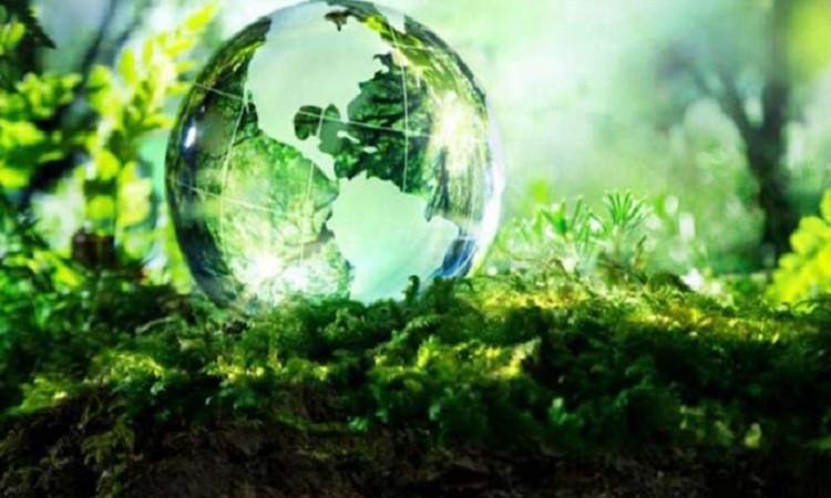 المبادرة الوطنية للمشروعات الخضراء الذكية تشارك بجلسة حوارية على هامش cop28 بالإمارات
