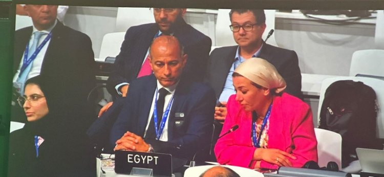 وزيرة البيئة تهنئ الإمارات على نجاح رئاستها للنسخة الـ 28 من مؤتمر المناخ «COP28»