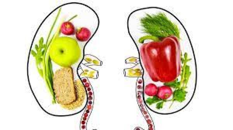تعرف على الأطعمة الصحية التي تفيد الكُلى