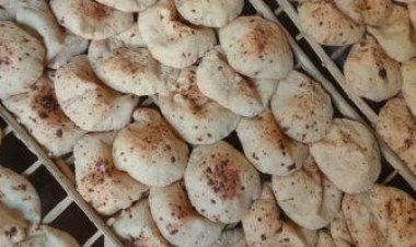 التموين: ضم 1150 مخبزًا سياحيًا بالقاهرة الكبرى للقطاع الرسمي خلال 2023