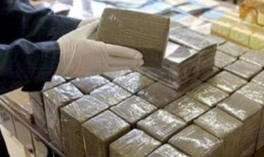 ضبط كميات من المواد المخدرة وتنفيذ 782 حكمًا قضائيًا متنوعًا بدمياط وأسوان