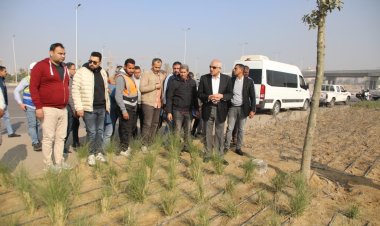 محافظ الجيزة يتابع أعمال التطوير الجارية بمحيط المتحف المصرى الكبير