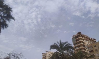 شبورة وتساقط أمطار.. طقس ثاني أيام السنة