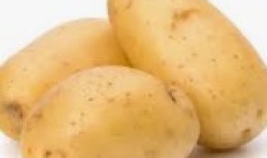 تعرف على فوائد تناول البطاطس