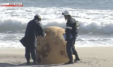 وقائع غريبة في عام 2023 .. تعرف عليها