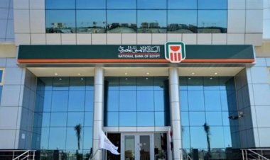 شهادات البنك الأهلي الجديدة 2024