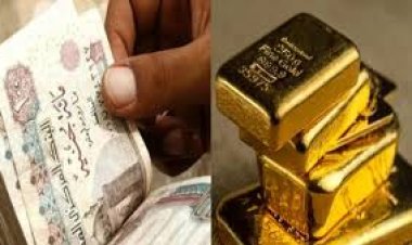 هل تؤثر شهادات بنكي مصر والأهلي على أداء البورصة.. خبير يجيب