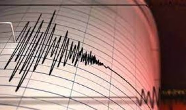 زلزال بقوة 4.6 ريختر يضرب جنوب غرب باكستان