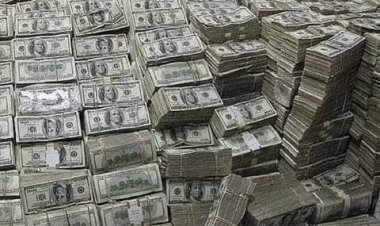 بقيمة 780 مليون جنيه.. غسل أموال عمليات نصب وتجارة عملة ومخدرات في 3 أسابيع