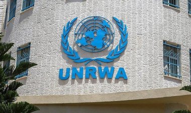 الأونروا: مقتل 142 موظفًا من الأمم المتحدة منذ بدء العدوان الإسرائيلي على قطاع غزة