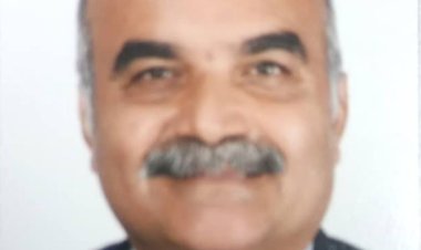 بمساحة 5 أمتار.. رئيس حي الدقي يبدأ تنفيذ خطة تطوير الأكشاك