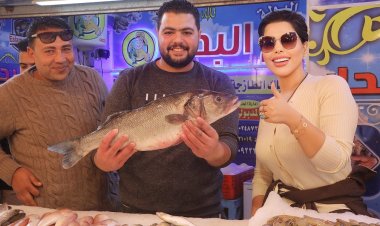 شمس الكويتية ترقص على الأغاني البورسعيدية في سوق السمك