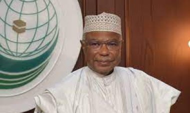 الأمين العام لمنظمة التعاون الإسلامي يستقبل وزير الشؤون الإسلامية المالديفي