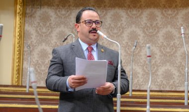 برلماني: تراجع تحويلات العاملين بالخارج فاقمت من أزمة الدولار